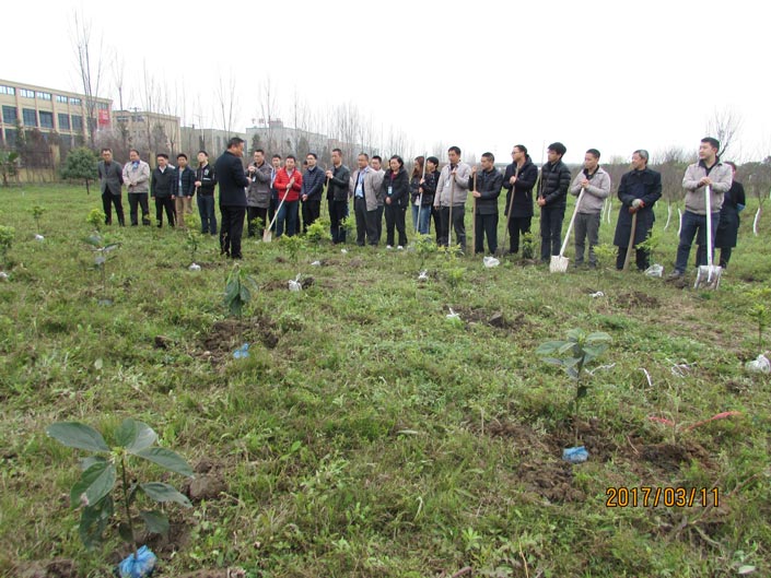 bbin·宝盈(中国集团)官方网站