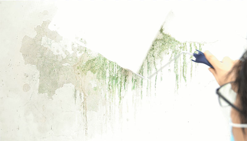 bbin·宝盈(中国集团)官方网站